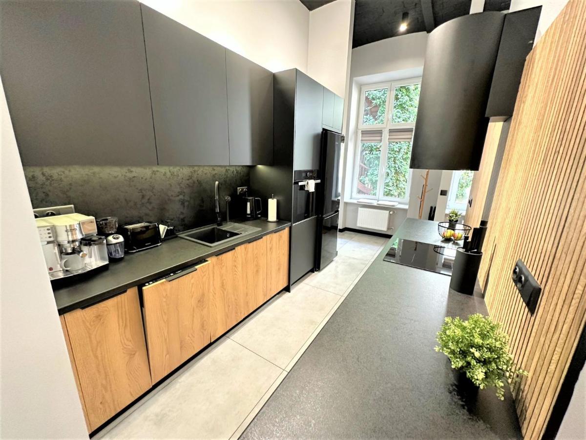 Luxury 100M2 Loft Design-Apartment At Wawel + Netflix 克拉科夫 外观 照片