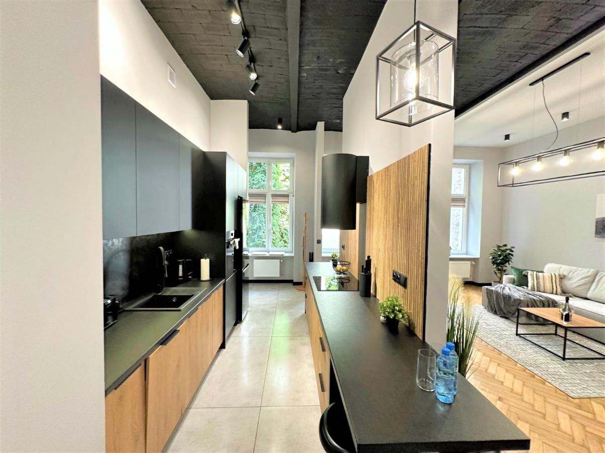 Luxury 100M2 Loft Design-Apartment At Wawel + Netflix 克拉科夫 外观 照片