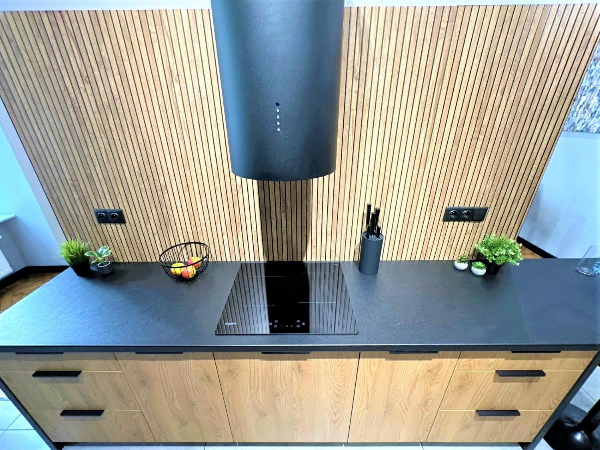 Luxury 100M2 Loft Design-Apartment At Wawel + Netflix 克拉科夫 外观 照片