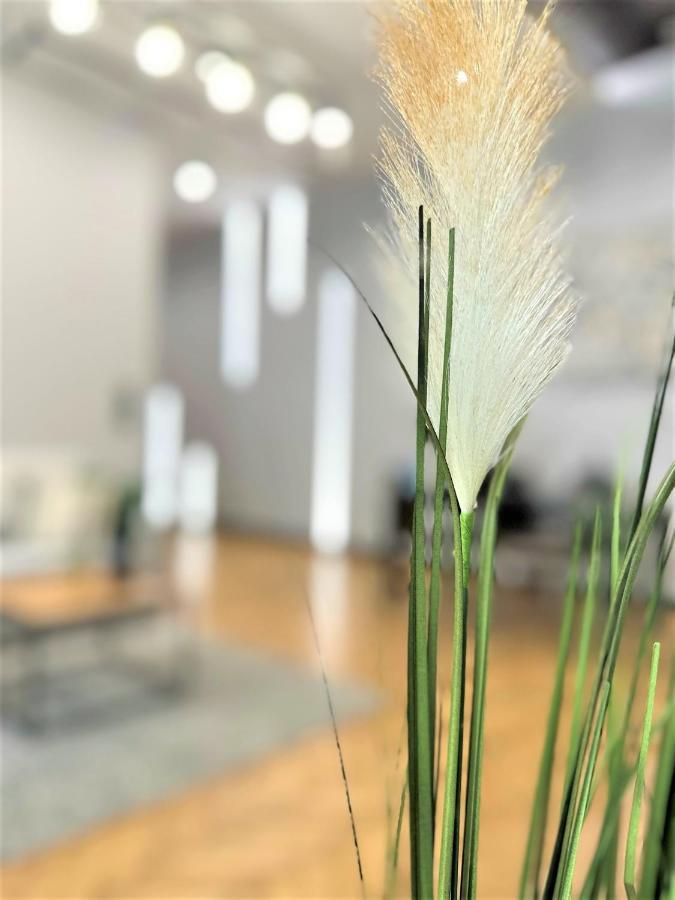 Luxury 100M2 Loft Design-Apartment At Wawel + Netflix 克拉科夫 外观 照片